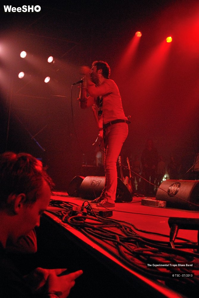 22/30 photos du spectacle The Experimental Tropic Blues band
