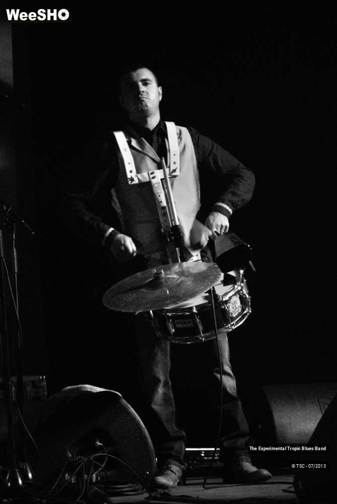 27/30 photos du spectacle The Experimental Tropic Blues band