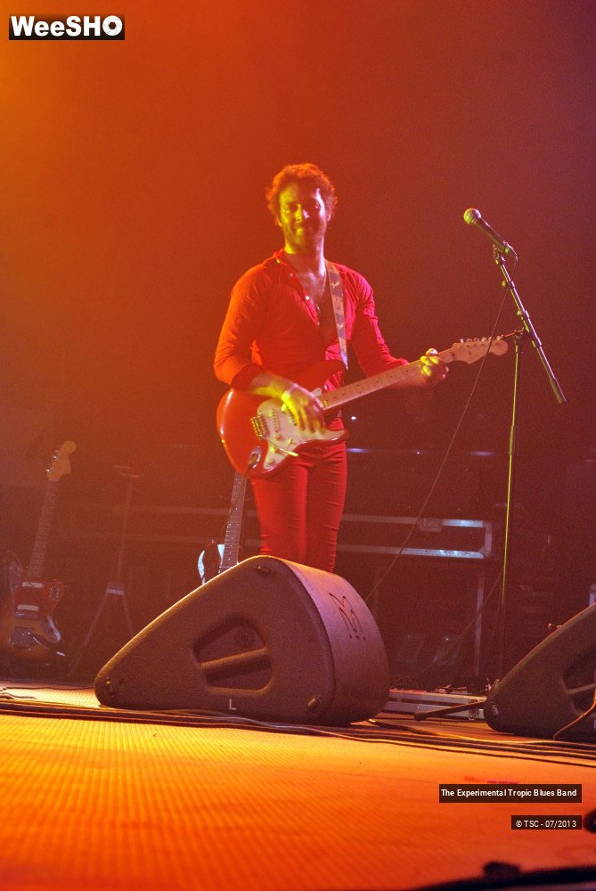 28/30 photos du spectacle The Experimental Tropic Blues band