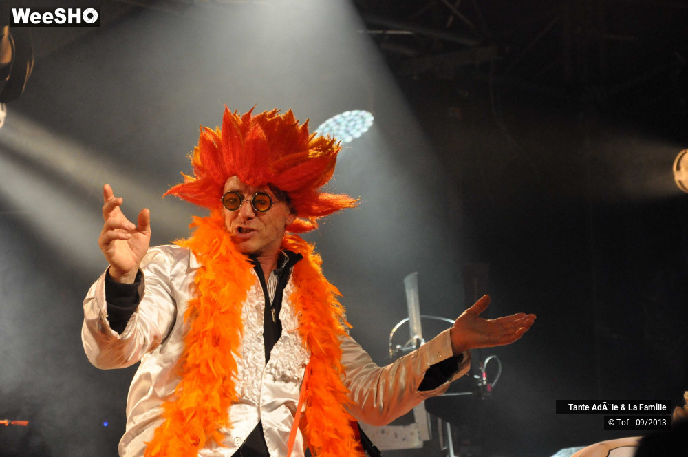 13/29 photos du spectacle Tante Adèle et la famille