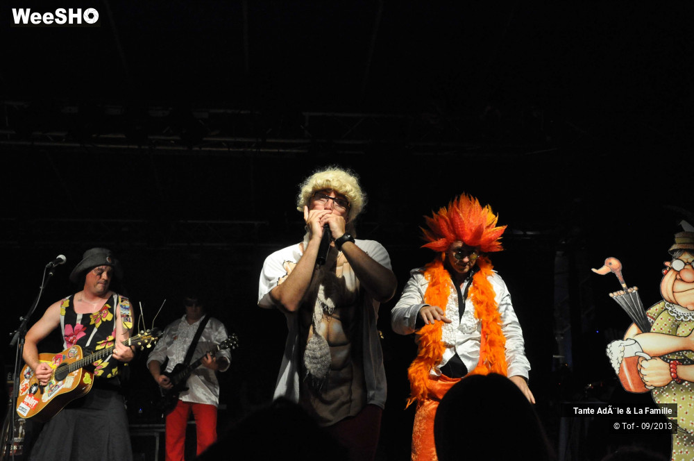 14/29 photos du spectacle Tante Adèle et la famille