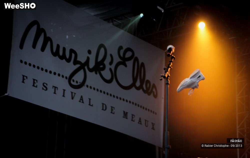 15/30 photos du spectacle Féfé et ses invités