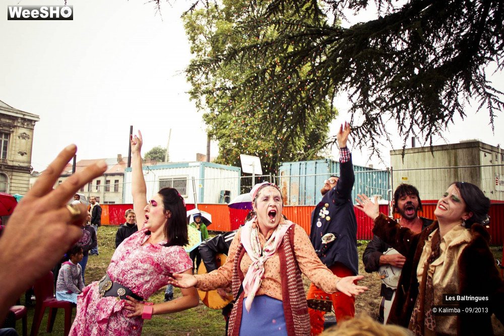 6/50 photos du spectacle La Famille Baltringues en Chansons