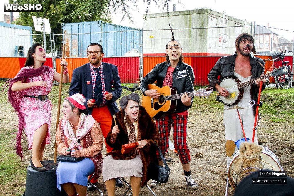 13/50 photos du spectacle La Famille Baltringues en Chansons