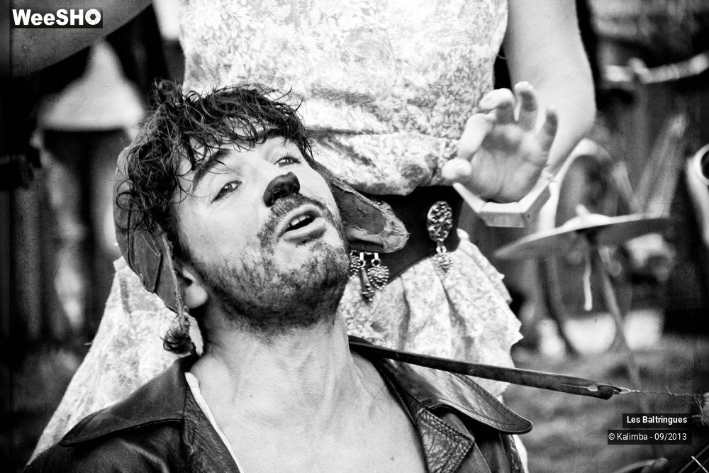 15/50 photos du spectacle La Famille Baltringues en Chansons