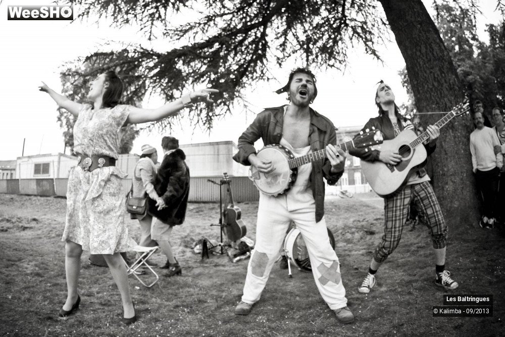 28/50 photos du spectacle La Famille Baltringues en Chansons