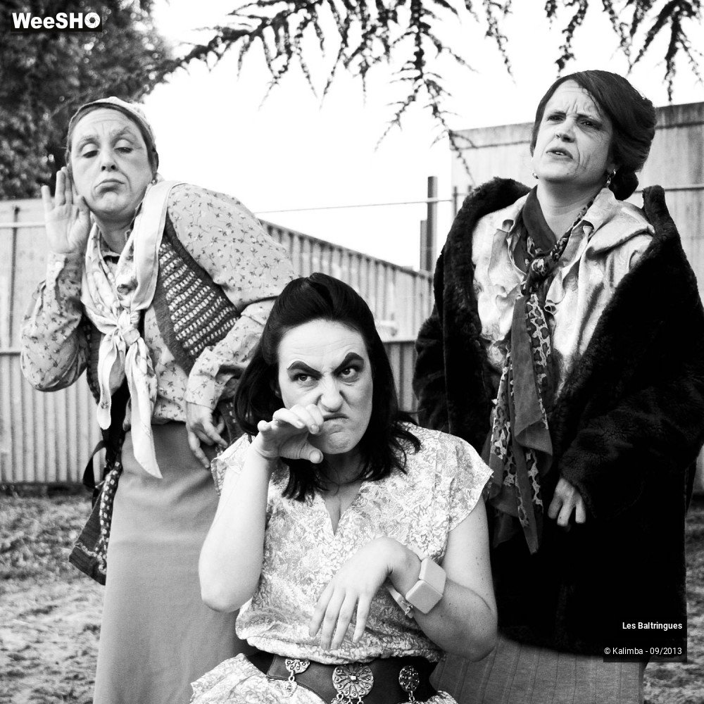 34/50 photos du spectacle La Famille Baltringues en Chansons