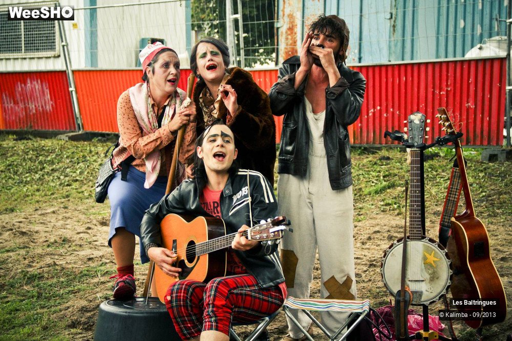 43/50 photos du spectacle La Famille Baltringues en Chansons