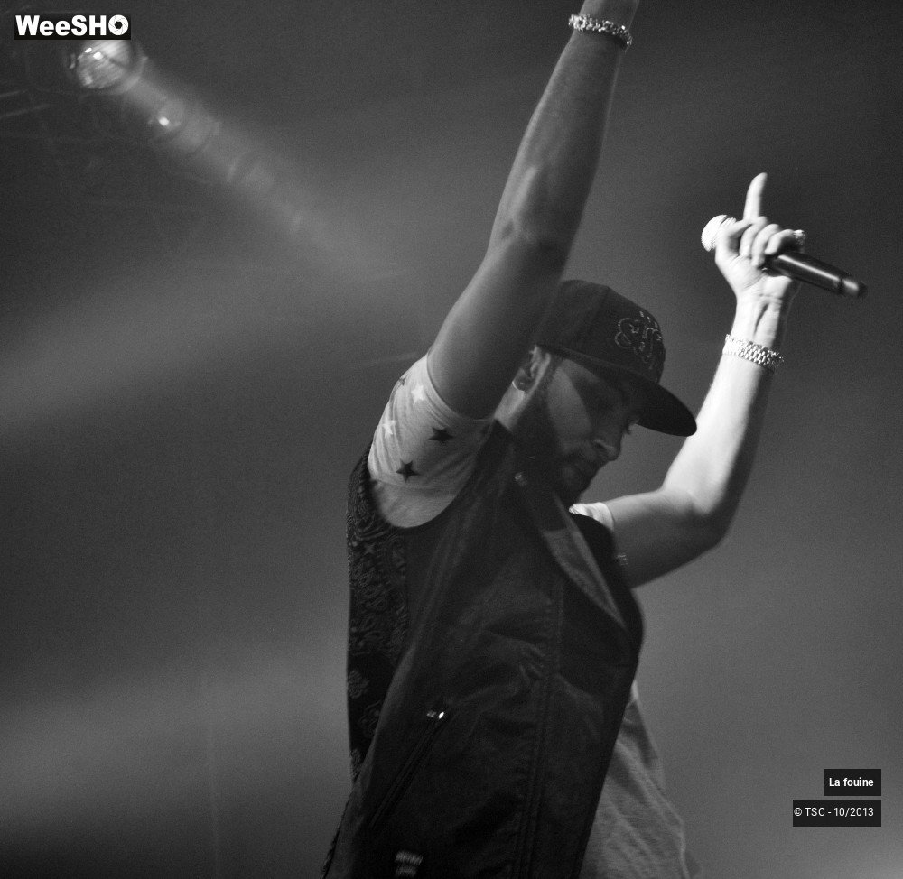 4/20 photos du spectacle La fouine