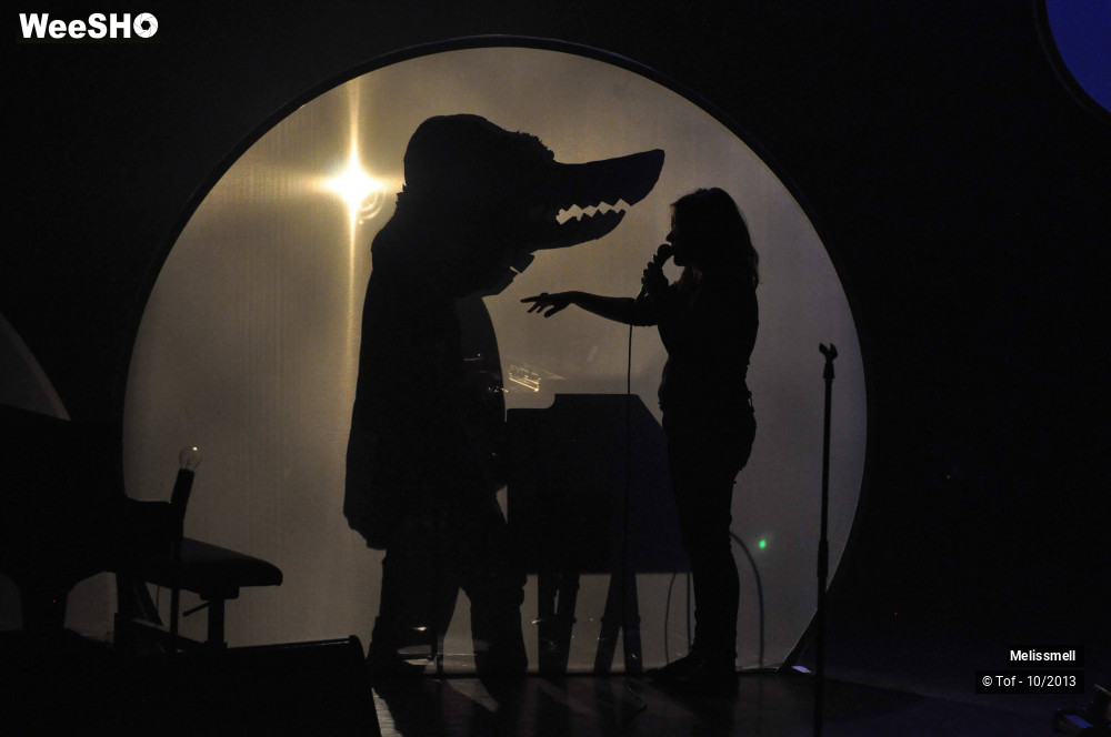 6/41 photos du spectacle Melissmell