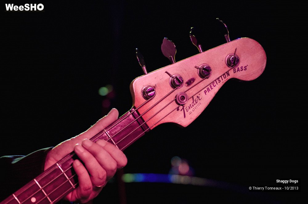 6/50 photos du spectacle Shaggy Dogs