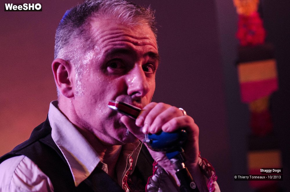 9/50 photos du spectacle Shaggy Dogs