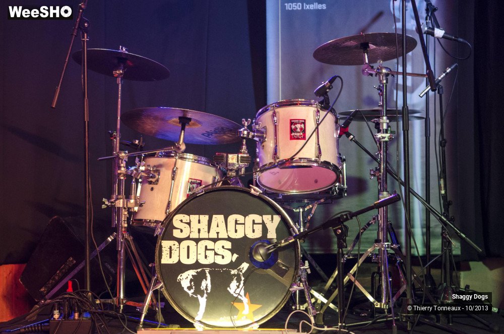 24/50 photos du spectacle Shaggy Dogs