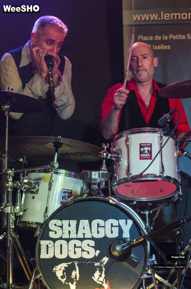 39/50 photos du spectacle Shaggy Dogs