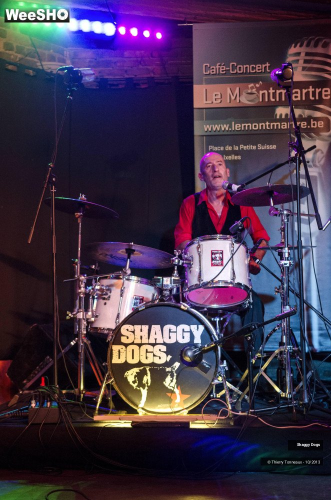 43/50 photos du spectacle Shaggy Dogs