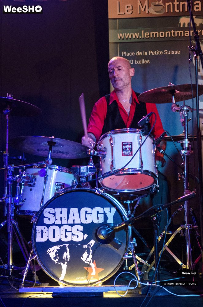 47/50 photos du spectacle Shaggy Dogs