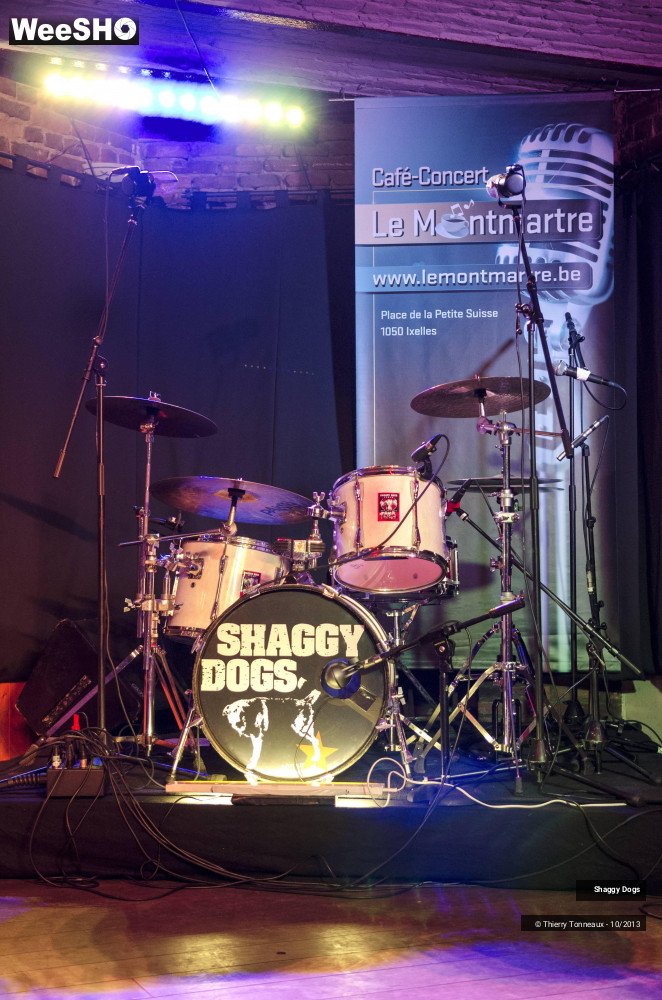 48/50 photos du spectacle Shaggy Dogs