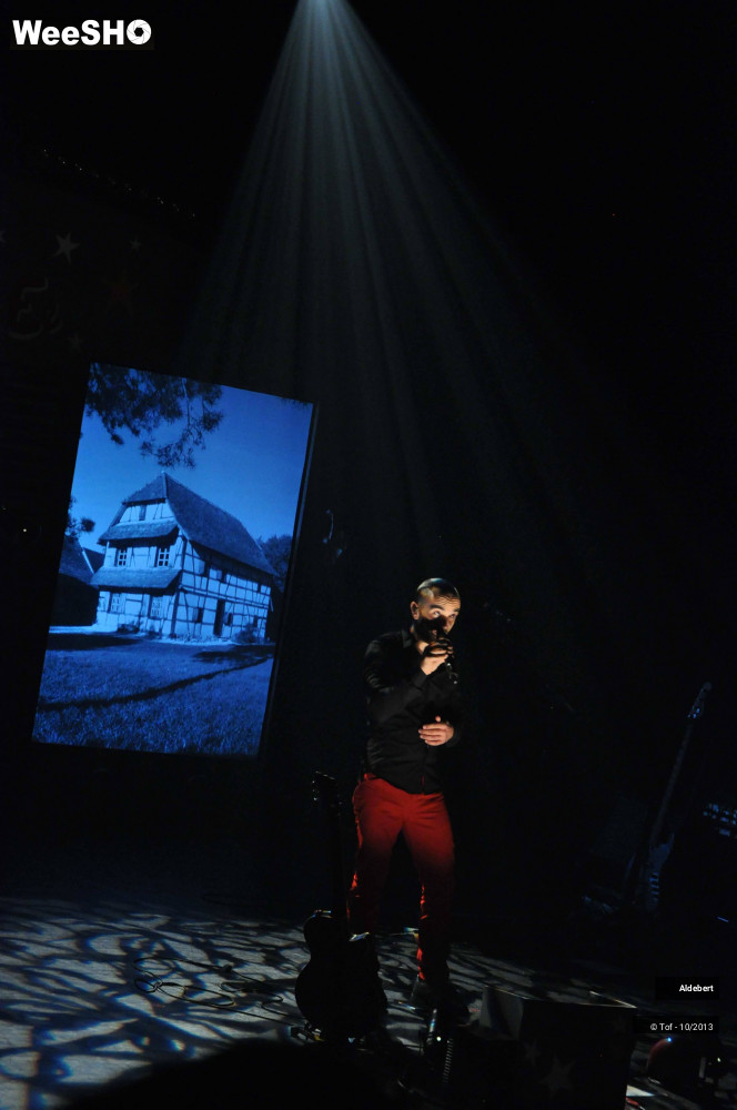 30/64 photos du spectacle Aldebert