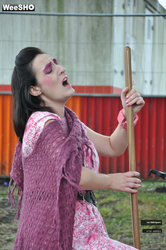 21/49 photos du spectacle La famille Baltringues en Chansons