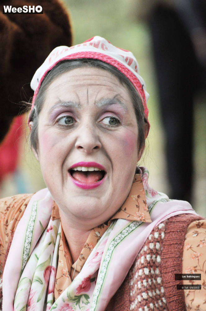 32/49 photos du spectacle La famille Baltringues en Chansons