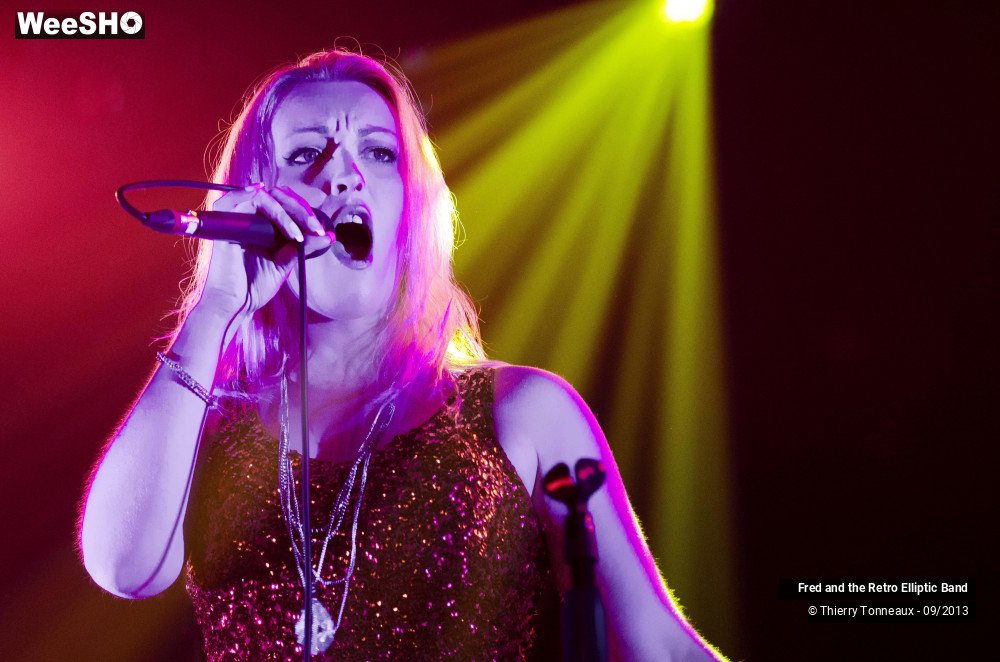 3/31 photos du spectacle Fred and the Retro Elliptic Band