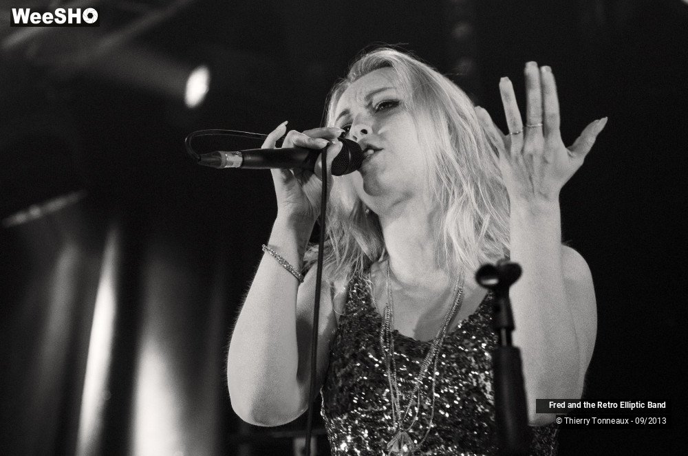 9/31 photos du spectacle Fred and the Retro Elliptic Band