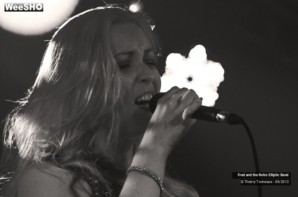 15/31 photos du spectacle Fred and the Retro Elliptic Band