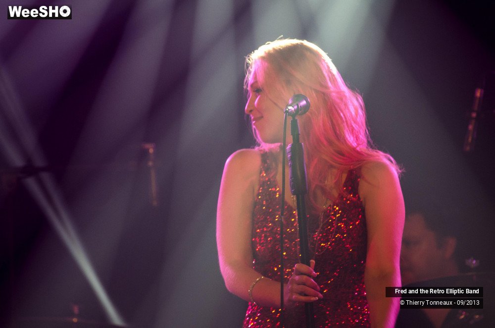 22/31 photos du spectacle Fred and the Retro Elliptic Band