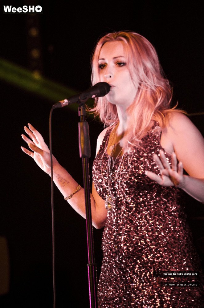 28/31 photos du spectacle Fred and the Retro Elliptic Band