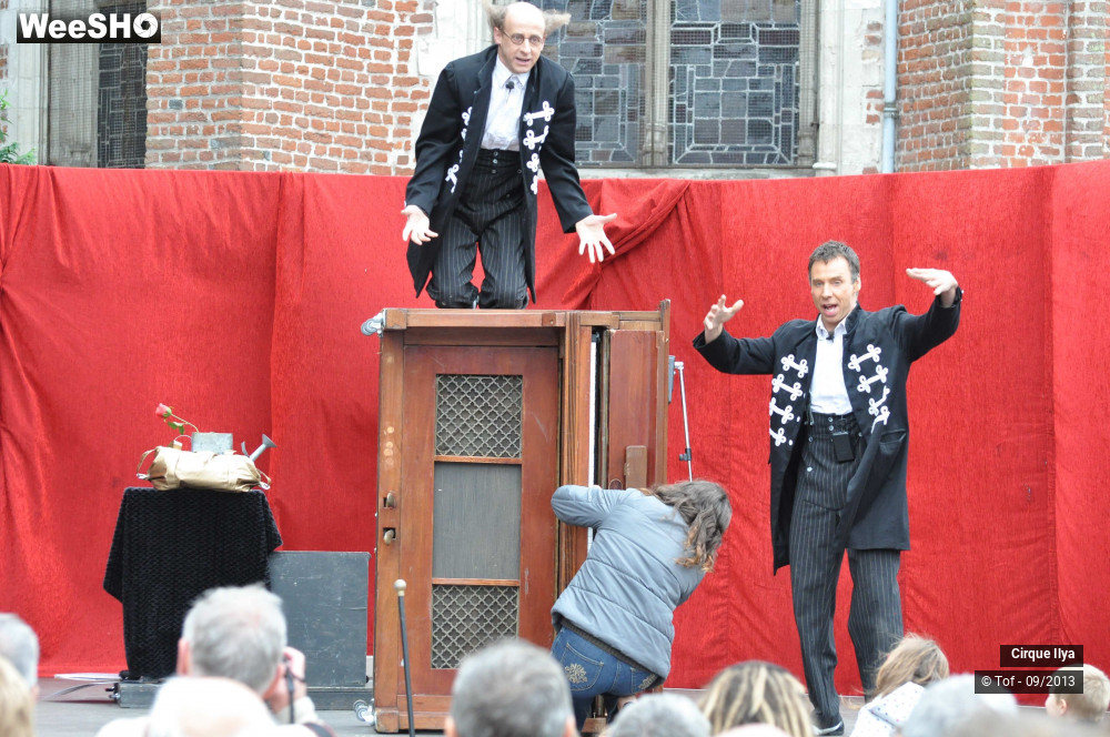 6/33 photos du spectacle Les Frères Panini