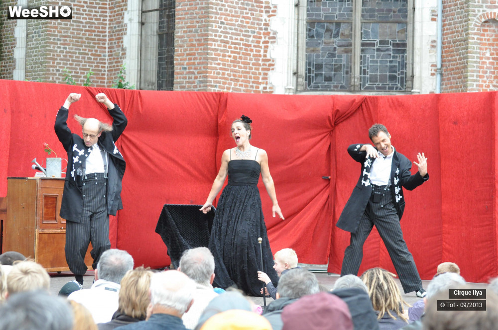7/33 photos du spectacle Les Frères Panini