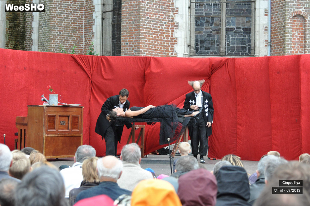 8/33 photos du spectacle Les Frères Panini