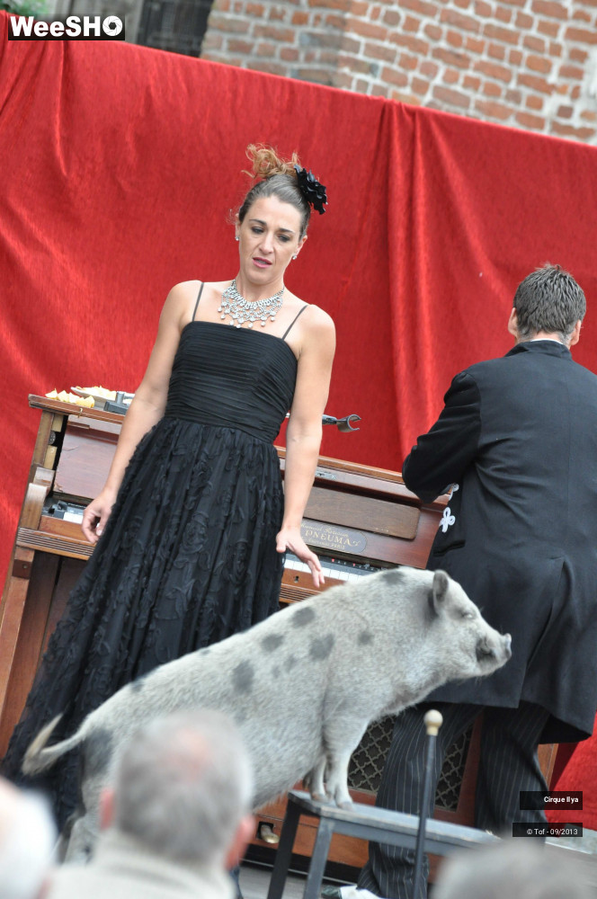 19/33 photos du spectacle Les Frères Panini