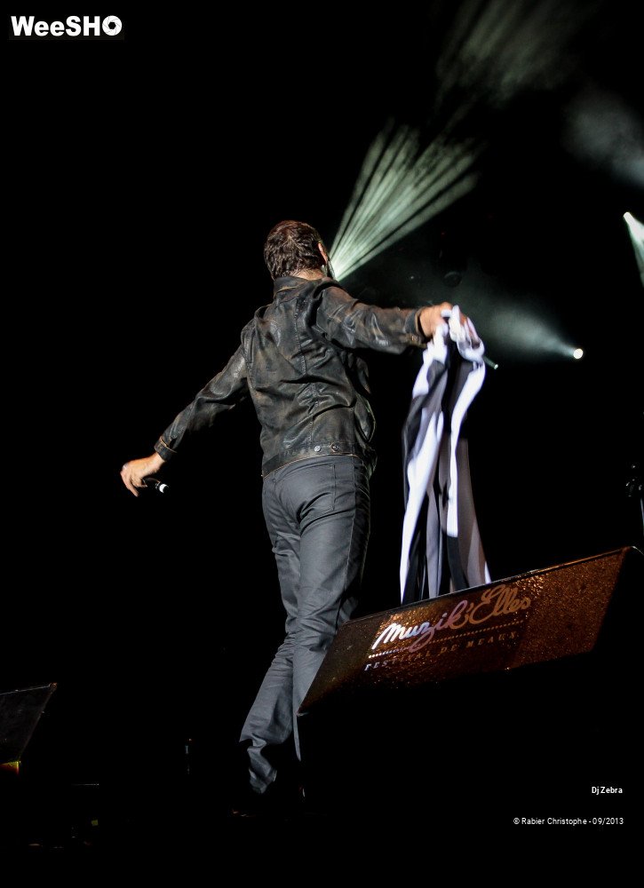 22/44 photos du spectacle Zebra et les souffleuses