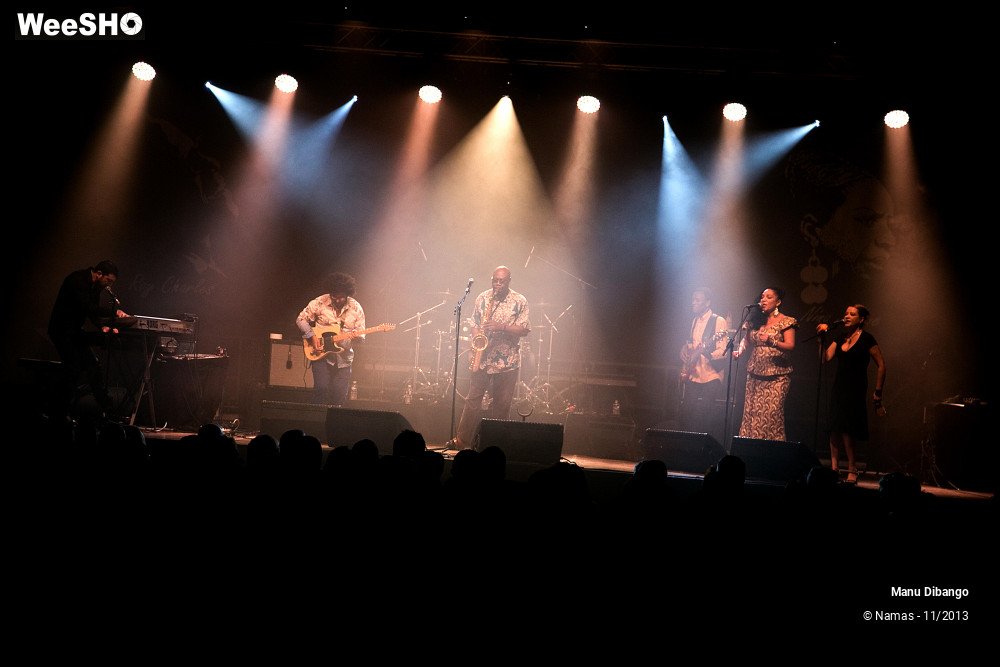 4/44 photos du spectacle Manu Dibango