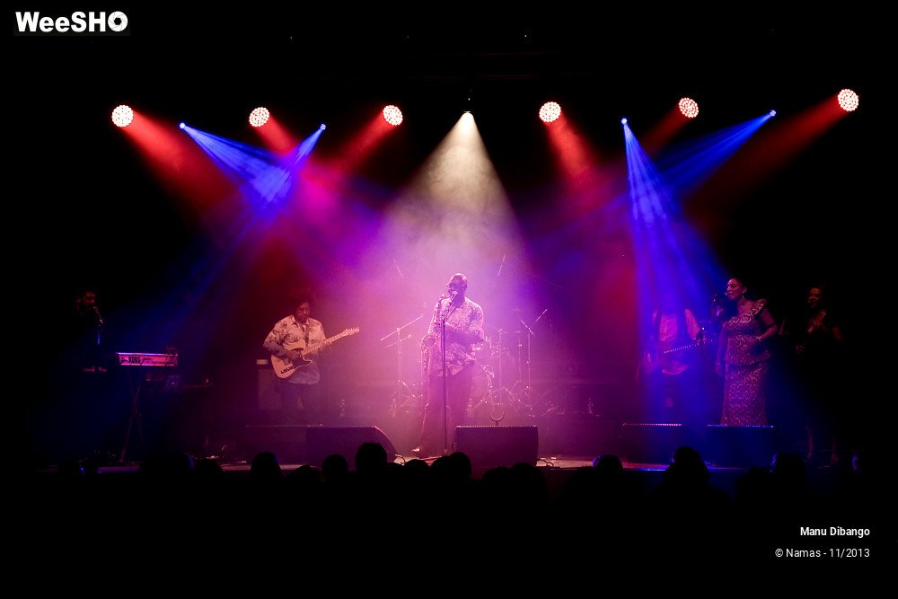 14/44 photos du spectacle Manu Dibango