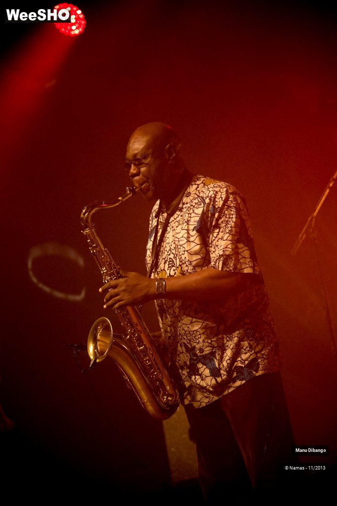 29/44 photos du spectacle Manu Dibango