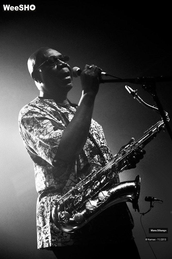 30/44 photos du spectacle Manu Dibango