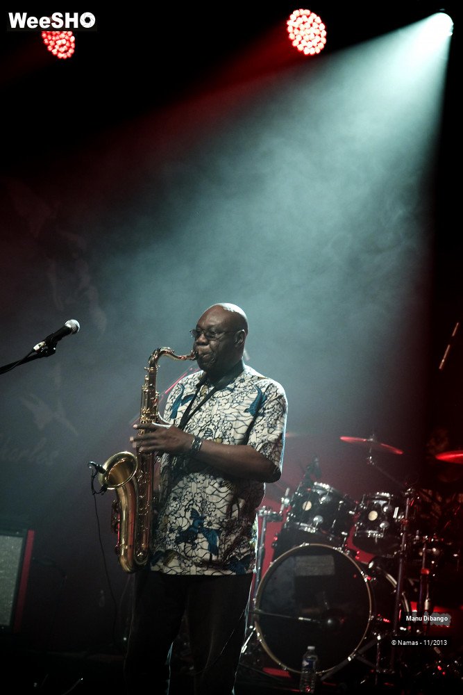 32/44 photos du spectacle Manu Dibango