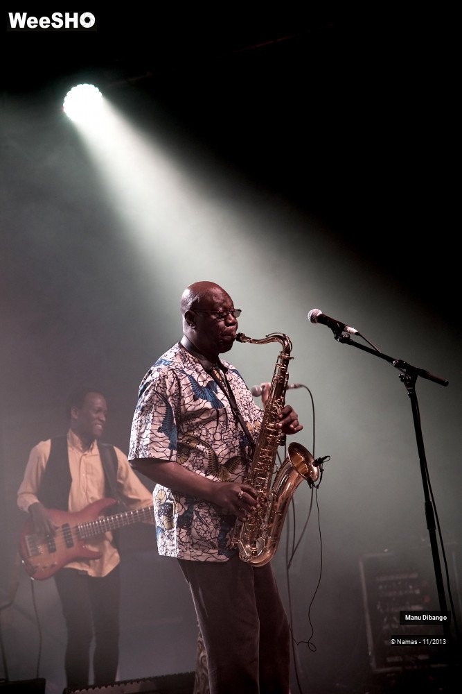33/44 photos du spectacle Manu Dibango