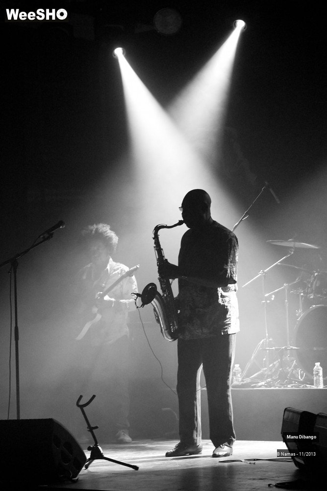 36/44 photos du spectacle Manu Dibango