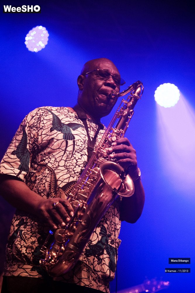 43/44 photos du spectacle Manu Dibango