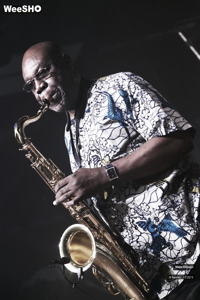 44/44 photos du spectacle Manu Dibango