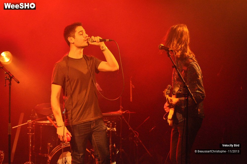 35/43 photos du spectacle Velocity Bird