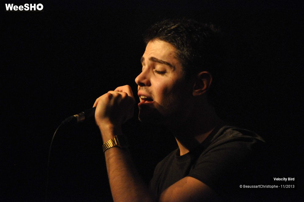 36/43 photos du spectacle Velocity Bird
