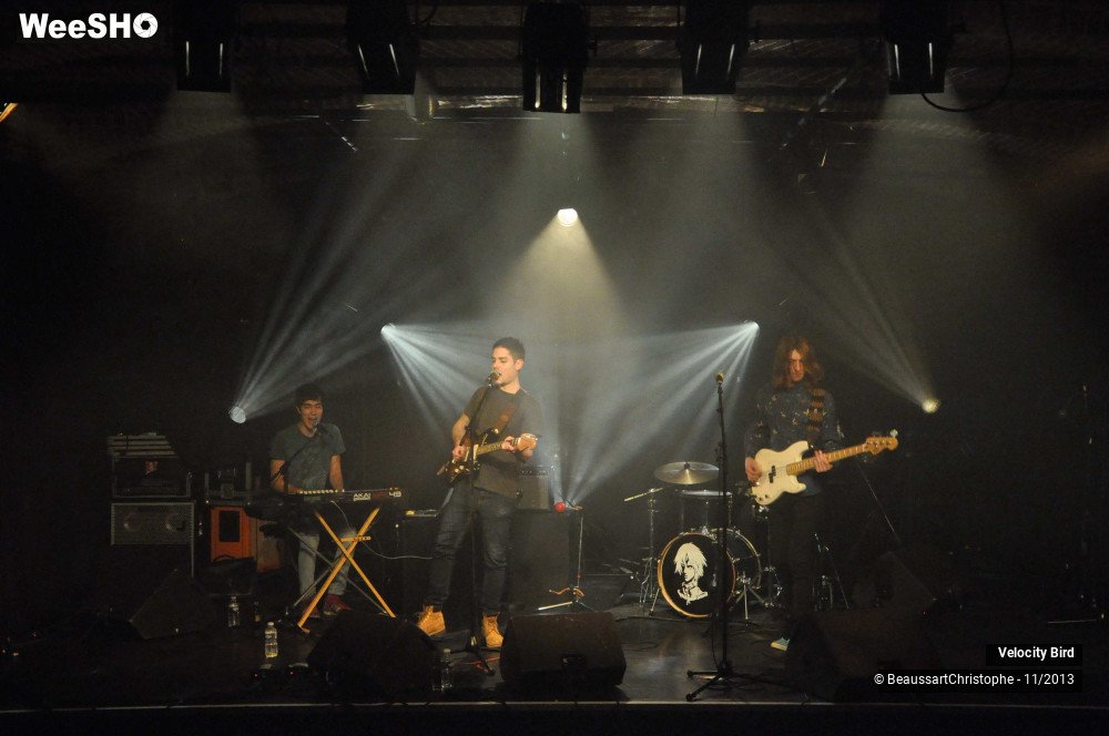 38/43 photos du spectacle Velocity Bird