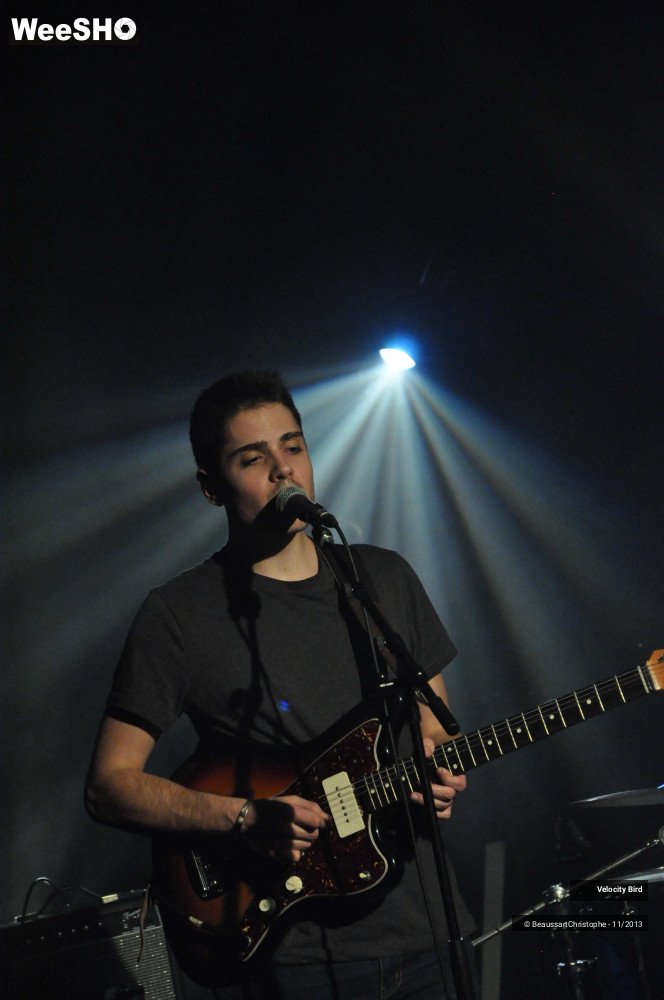 41/43 photos du spectacle Velocity Bird