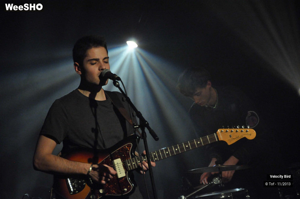 2/43 photos du spectacle Velocity Bird