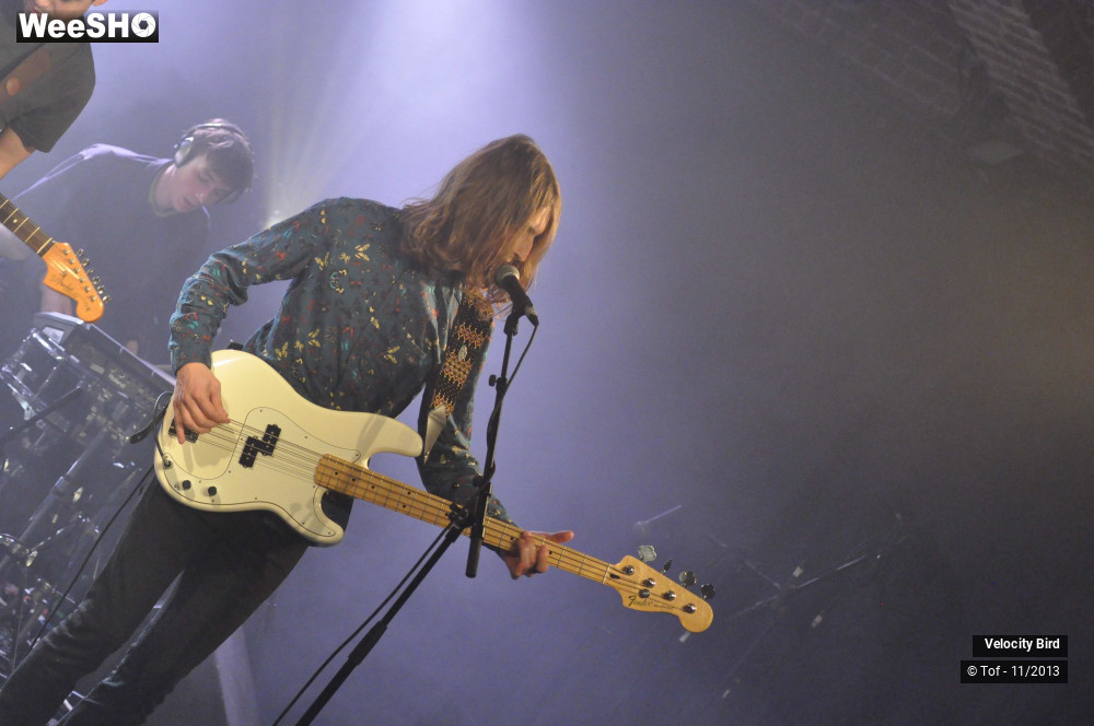 4/43 photos du spectacle Velocity Bird