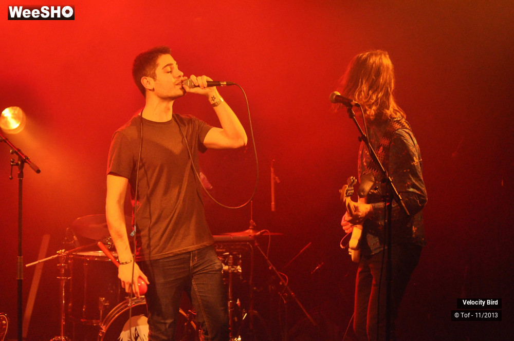 6/43 photos du spectacle Velocity Bird